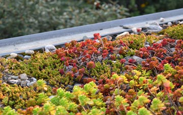 the cost of Leapgate green roof installation