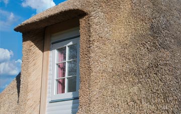 Leapgate thatch roof disadvantages